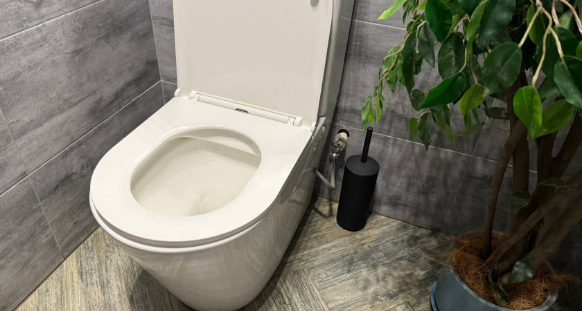 Эта вещь есть в каждом доме: ёршик для унитаза превращает ванную в рассадник инфекции