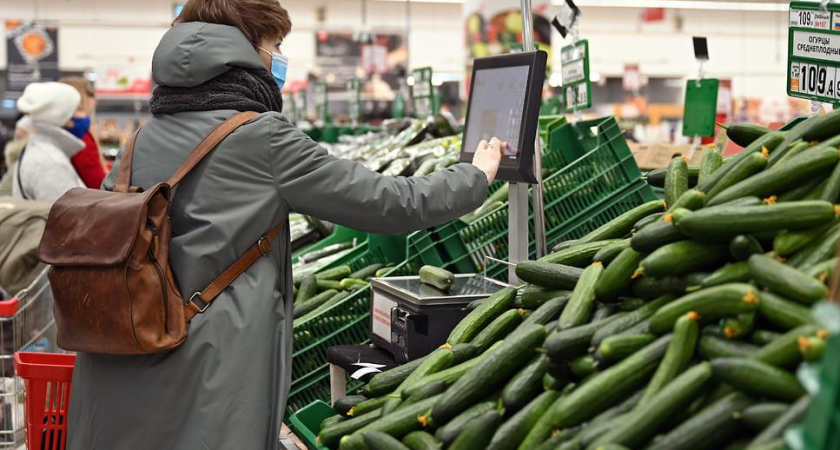 Шок на рынке: огурцы в Краснодарском крае взлетели в цене на 31% — рекордсмены зимнего подорожания