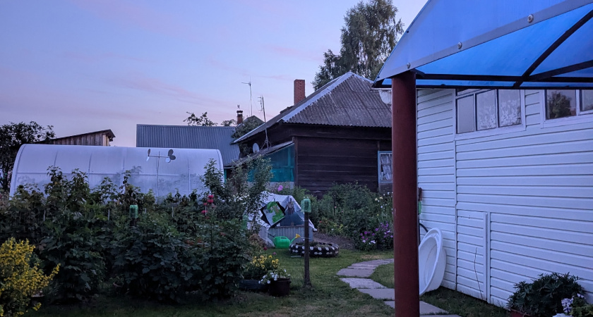 Дачники, готовьте деньги: с 1 марта начнут штрафовать за сорняки — сколько придется заплатить