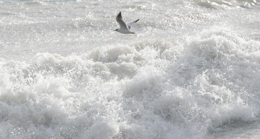 Удар «Черного молота»: 4-метровые волны в Сочи накрыли электричку с людьми, едва не смыв состав в море