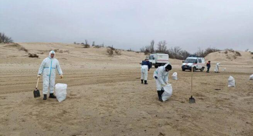 98 мешков нефтяных отходов: мощный шторм в Анапе поднял со дна старые залежи мазута