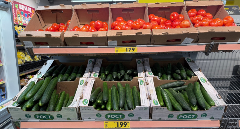 На Юге 135, а в Москве уже под 400: эксперт рассказал, кто виноват в скачке цен на огурцы — ответ шокирует покупателей