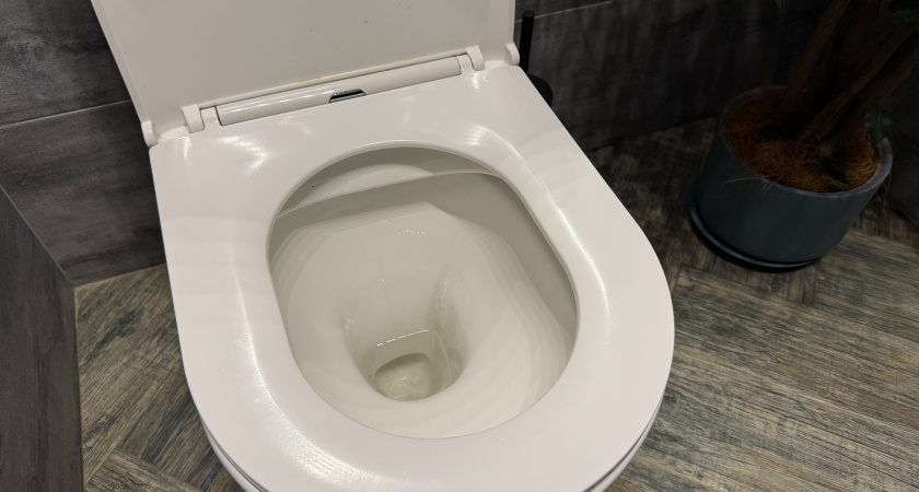 Выдавил пасту, сыпанул соли — и готово: этот дешевый рецепт отмоет унитаз до блеска — дорогая химия отдыхает