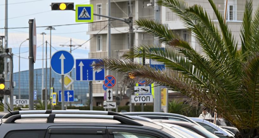 Экологическая катастрофа в Анапе обрушила спрос на отдых в Краснодарском крае