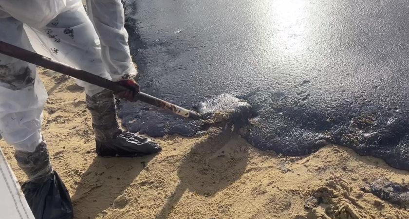 185 тысяч тонн грунта вывезли с пляжей Анапы после мазутной катастрофы