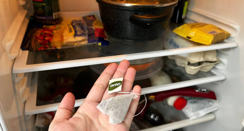 Кладу обычный чайный пакетик в холодильник: 5 способов использовать заварку, о которых молчат в магазинах