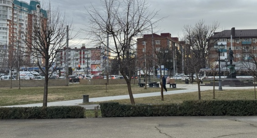 Кавказский район лидирует по жалобам жителей Кубани на власть