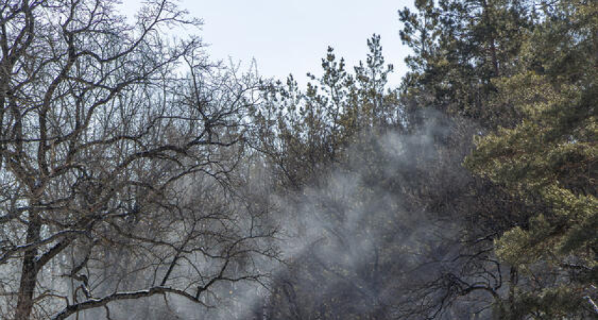 Пожар в Архипо-Осиповке потушили за час в труднодоступной местности