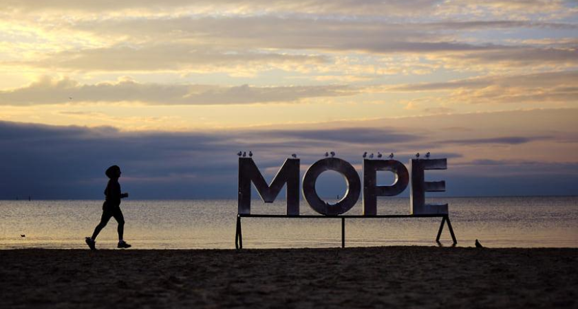 Вице-мэр Анапы через полгода работы вернулся в бизнес