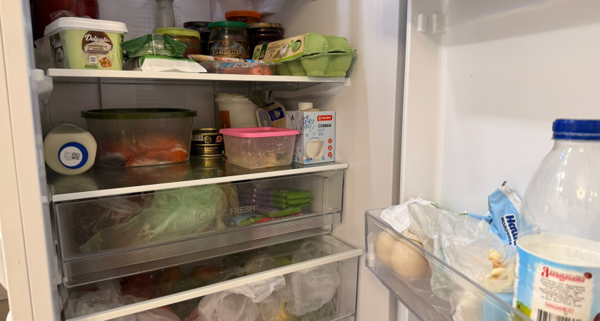 Почему продукты портятся быстрее, чем должны? Всё дело в дверце холодильника — Роспотребнадзор назвал главные ошибки