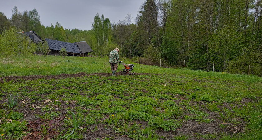 Лето-2026: дожди, жара и полчища насекомых — агрономам приготовиться к погодным качелям