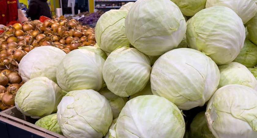 Кубань инвестирует 270 млн в овощеводство после рекордного урожая