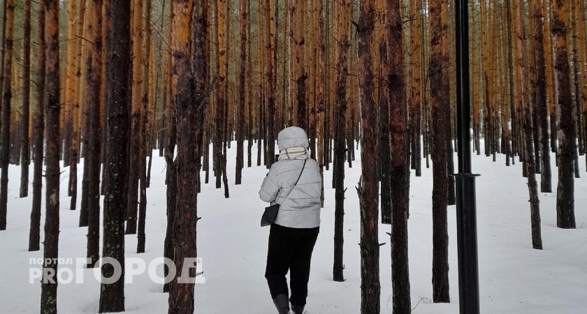 Деньги сами найдут дорогу: три знака зодиака станут магнитом для богатства уже в марте