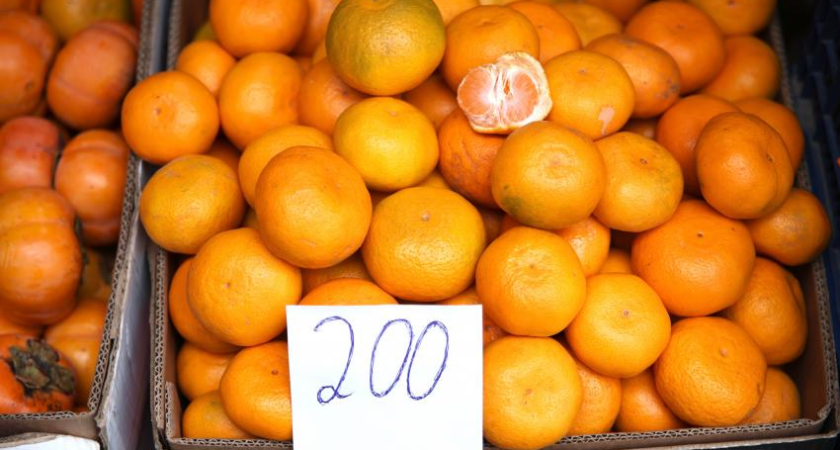 Черный сосновый усач в турецких мандаринах угрожал хвойным лесам Кубани