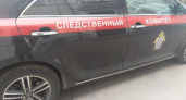 Алабай в Сочи искусал 10-летнего мальчика и девочку — собаку усыпили на месте