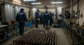 Подпольные «виноделы» штамповали фальсификат на 30 миллионов: две линии розлива и 9 тысяч литров спирта