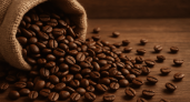 61 тысяча тонн за год: Кубань резко нарастила импорт кофе на фоне кофейного бума