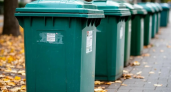 Штраф до 250 тысяч: в Краснодаре запретили выбрасывать ветки и батарейки в обычные контейнеры