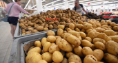 Кубань упустила половину рынка картофеля: экспорт рухнул на 45,6%