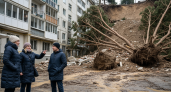 Деревья и грязь ползут на жилой дом: оползень в Адлере угрожает многоэтажке после затяжных дождей