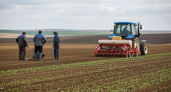 Кубанские аграрии засевают рекордные 1,8 млн гектаров