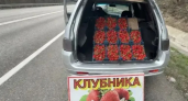 В Туапсинском округе торгуют клубникой без документов прямо у трассы
