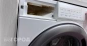Плесень атакует вашу стиралку: простые ошибки хозяек, которые приводят к болезням и аллергии