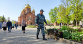 Кинологи обследовали 60 храмов Краснодара накануне Пасхи