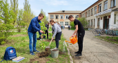 Школьники станицы Должанской высадили 15 дубов в память о героях войны
