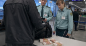 Пассажир рейса Сочи – Батуми спрятал в рюкзаке почти 2 млн рублей