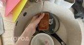 Перестаньте мыть посуду этим рассадником заразы: замените губку прямо сейчас ради здоровья своих близких