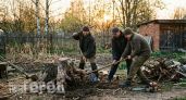 Забудьте про тяжелую лопату: китайский способ убрать старый пень с участка без капли пота и лишних затрат