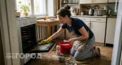 Забудьте про генеральные уборки: польские хозяйки поделились простой системой чистоты без лишних усилий