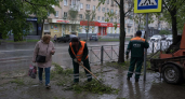 Ветер до 29 м/с повалил деревья и обесточил районы Новороссийска