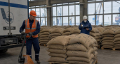 В Новороссийске задержали 86 тонн бразильского кофе с карантинными вредителями
