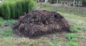 Вы совершаете роковую ошибку с компостной кучей: избавьтесь от этих отходов пока участок не заполонили вредители