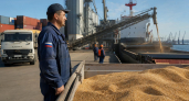 Порты Кубани нарастили экспорт пшеницы до 10,7 млн тонн — рост на 65%
