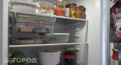 Откроешь дверцу и бежишь: как избежать порчи продуктов и неприятного запаха из холодильника