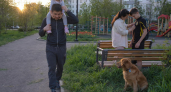 743 укуса клещей в Крае с начала года — почти половина жертв дети