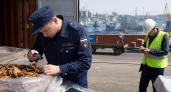 В Новороссийске остановили 118 тонн болгарского табака с карантинным вредителем