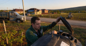 Краснодарский край вошёл в топ регионов с низким потреблением алкоголя