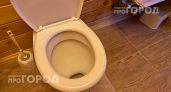 Больше никогда не смывайте воду с открытой крышкой: узнайте куда на самом деле разлетаются все бактерии