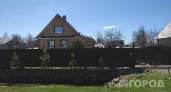 700 000 штрафа за дерево на участке: дачников предупредили о новом жестком законе - что вырубать прямо с корнем