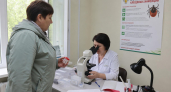 Клещи укусили более 1200 кубанцев с начала года, почти половина — дети