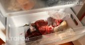 Выкиньте это из морозилки прямо сейчас: 7 популярных продуктов, которые превращаются в полную несъедобную кашу