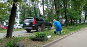 Украсили клумбу покрышками — получите штраф: что грозит россиянам за «народный дизайн» у подъезда