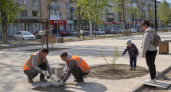 Кубань возглавила голосование за благоустройство: 650 тысяч голосов жителей