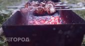 Перестаньте тратить деньги на магазинные маринады: этот копеечный отход сделает мясо мягче любого ресторана