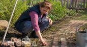 Забудьте про дорогую укладку: как я сделал садовые дорожки из копеечных материалов без единой трещины