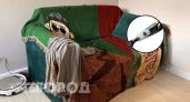 Забыла про тяжелый пылесос после похода в Чижик: компактный гаджет за 600 рублей убирает всю пыль за минуту